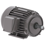 NP0016G Teco-Westinghouse 1HP Cast Iron Electric Motor, 1200 RPM