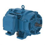 12536OT3H404TS-W40, WEG, 125HP, General Purpose Electric Motor, 3600RPM