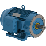 02509ST3QIE326TC-W22 WEG 25HP Severe Duty Electric Motor, 900RPM