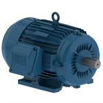 01036ET3E215T-W22 WEG 10HP General Purpose Electric Motor, 3600RPM