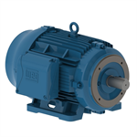 01518ET3EID254TC-W22 WEG 15HP Irrigation Duty Electric Motor, 1800RPM