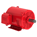 02536OP3HFP256T-S WEG 25HP Fire Pump Electric Motor, 3600RPM