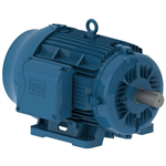 02009ET3H324T-W22 WEG 20HP Electric Motor, 900RPM