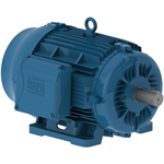 02509ET3H326T-W22 WEG 25HP Severe Duty Electric Motor, 900RPM