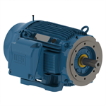 04009ST3QIE365TC-W22 WEG 40HP Severe Duty Electric Motor, 900RPM