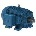 10018XT3E405T WEG 100HP Explosion Proof Electric Motor, 1800RPM