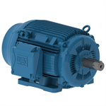 10012ET3E444T-W22G WEG 100HP General Purpose Electric Motor, 1200RPM