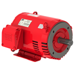 01036OP3EFP213TC-S WEG 10HP Fire Pump Electric Motor, 3600RPM