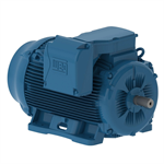 25018ET3G447TS-W22 WEG 250HP General Purpose Electric Motor, 1800RPM