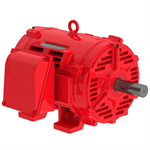 05036OP3HFP324TS-W40 WEG 50HP Fire Pump Electric Motor, 3600RPM