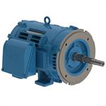 04036OT3E286JP-W40 WEG 40HP JP Close-Coupled Pump Electric Motor, 3600RPM