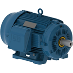 02036ST3HIE256T-W22 WEG 20HP Severe Duty Electric Motor, 3600RPM