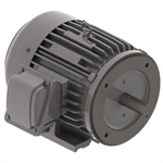 NP0032C Teco-Westinghouse 3HP Cast Iron Electric Motor, 3600 RPM