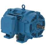 10018OT3E404TS-W40G WEG 100HP, General Purpose Electric Motor, 1800RPM