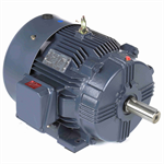 GT1028A Marathon 25HP Globetrotter Electric Motor, 1800RPM