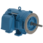 05036OT3H324JP-W40 WEG 50HP JP Close-Coupled Pump Electric Motor, 3600RPM