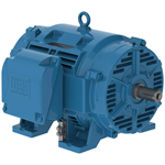 07536OT3E364TS-W40 WEG 75HP, General Purpose Electric Motor, 3600RPM