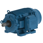 10018ET3PCT405T-W22, WEG, 100HP, Electric Motor, 1800RPM