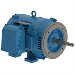 05036OT3E324JP-W40 WEG 50HP JP Close-Coupled Pump Electric Motor, 3600RPM