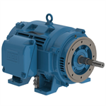 10018OT3E404JP-W40 WEG 100HP JP Close-Coupled Pump Electric Motor, 1800RPM