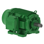 15036EG3G445TS-W22 WEG 150HP Electric Motor, 3600RPM