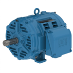 10018OT3E404TF2-W40 WEG 100HP, General Purpose Electric Motor, 1800RPM