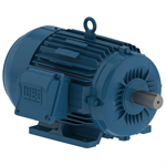 00112ET3H145T-W22 WEG 1 HP Electric Motor, 1200RPM