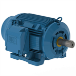 10018ST3QIERB405T-W22 WEG 100HP Severe Duty Electric Motor, 1800RPM