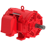 06036OP3EFP326TS-W40 WEG 60HP Fire Pump Electric Motor, 3600RPM