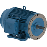 04036ET3H286JM-W22 WEG 40HP JM Close Coupled Pump Electric Motor, 3600RPM