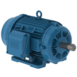 01512ET3H284TS-W22 WEG 15HP Severe Duty Electric Motor, 1200RPM