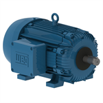 03018XT3H286T WEG 30HP Explosion Proof Electric Motor, 1800RPM