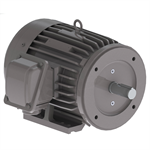 NP0052C Teco-Westinghouse 5HP Cast Iron Electric Motor, 3600 RPM