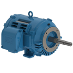 02536OT3E256JP-W40 WEG 25HP JP Close-Coupled Pump Electric Motor, 3600RPM