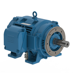 10018OT3E404JM-W40 WEG 100HP JM Close-Coupled Pump Electric Motor, 1800RPM