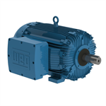 30012XT3G449T WEG 300HP Explosion Proof Electric Motor, 1200RPM