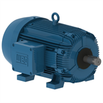 02509XT3E326T WEG 25HP Explosion Proof Electric Motor, 900RPM