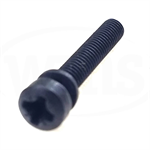 06-95-5250 Milwaukee Fill Head Tapt Screw