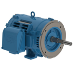 04036OT3V286JP-W40 WEG 40HP JP Close-Coupled Pump Electric Motor, 3600RPM