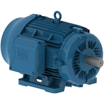 03036ET3H286TS-W22 WEG 30HP Severe Duty Electric Motor, 3600RPM