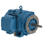 06018OT3E364JP-W40 WEG 60HP JP Close-Coupled Pump Electric Motor, 1800RPM