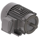 NP7/52C Teco-Westinghouse 7.5HP Cast Iron Electric Motor, 3600 RPM