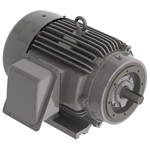 NP1002C Teco-Westinghouse 100HP Cast Iron Electric Motor, 3600 RPM