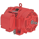 25036OP3GFP445TS-W40 WEG 250HP Fire Pump Electric Motor, 3600RPM