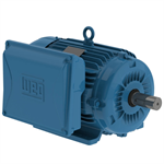 00718ES1E215T-W22 WEG 7.5HP Electric Motor, 1800RPM