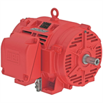 06036OP3VFP326TS-W40 WEG 60HP Fire Pump Electric Motor, 3600RPM