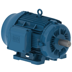 02018ET3H256T-W22 WEG 20HP Severe Duty Electric Motor, 1800RPM