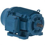 03009ET3E364T-W22 WEG 30HP General Purpose Electric Motor, 900RPM