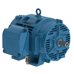 07518OT3G365TS-W40 WEG 75HP, General Purpose Electric Motor, 1800 RPM