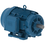 02036ET3H256T-W22 WEG 20HP General Purpose Electric Motor, 3600RPM